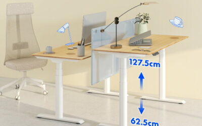 FlexiSpot E8 電動昇降デスク